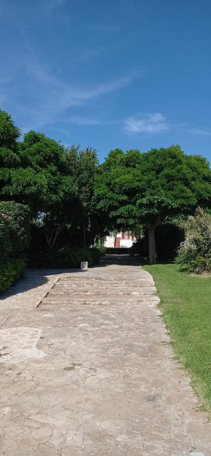 Tenuta Don Monaco - Agriturismo سانتا سيزاريا تيرمي المظهر الخارجي الصورة
